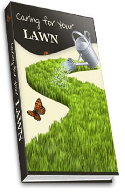 Caring for your lawn